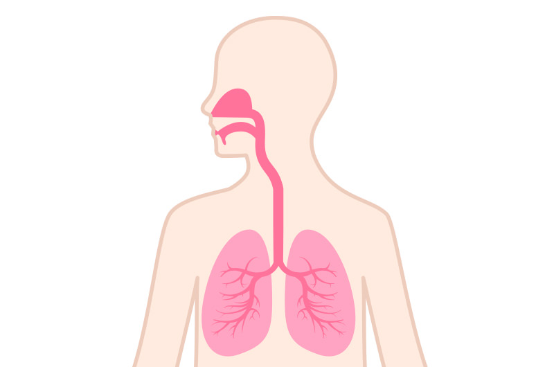 肺・気管支などの呼吸器の疾患を診療